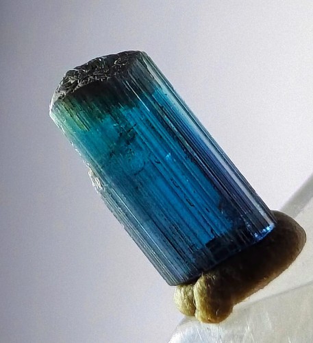 Natural dark ink blue - natural,