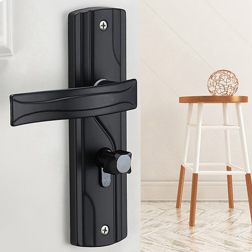 Interior privacy door - interior, handle