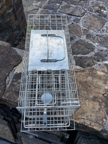 Stv076 squirrel cage trap - stv076,