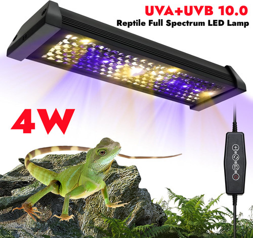 Reptile uva uvb - reptile,