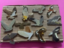 None RSPB 12 x Raptor pin