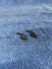 Hillman Avenger Talbot Sunbeam