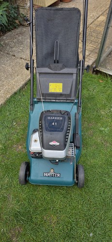 Hayter harrier - hayter, 41