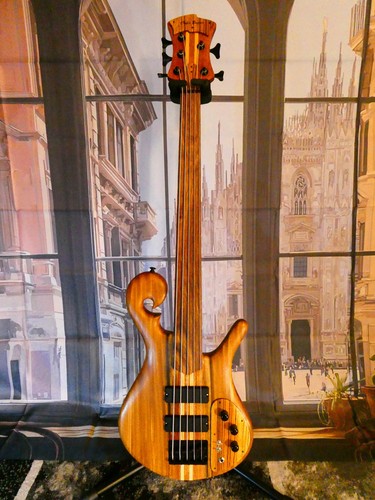 Chyla basses 5 - basses, string