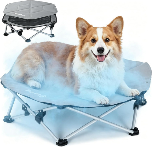 Dog cooling mat - cooling, on