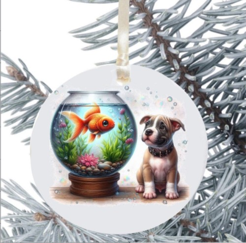 Staffordshire bull terrier - bull,