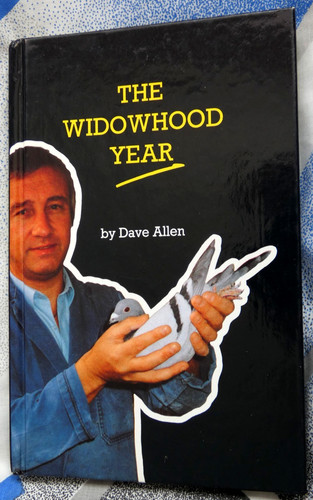 The widowhood year dave - the,
