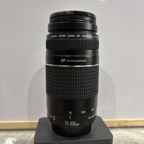 Canon 300mm 5 - f/4-5.6, iii