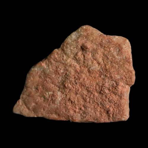 Megaloolithus titanosaur - 0.6",