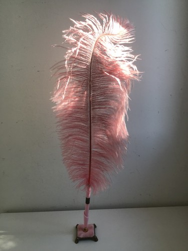 Vintage pink feather - feather, pen