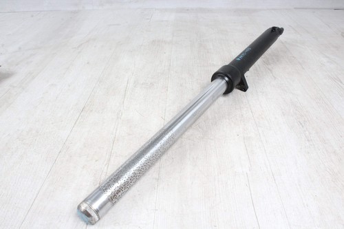 Fork stanchion right - , leaking