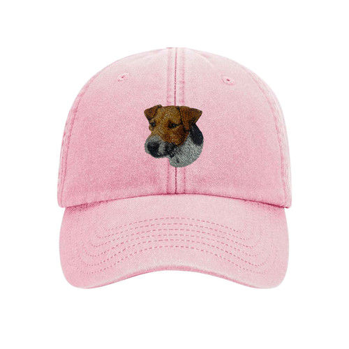 Jack russell terrier - jack,