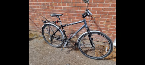 Raleigh pioneer metro glx - pioneer,