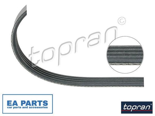 Ribbed belts for bmw - v-ribbed,
