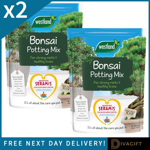 Westland bonsai potting - x,