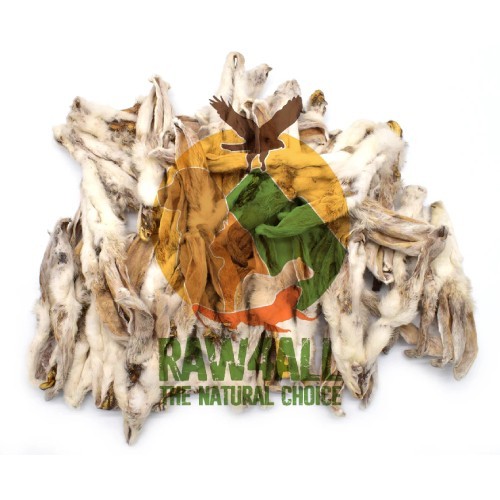 100 natural rabbit ears - natural, +