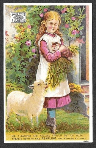 Victorian trading card - card,