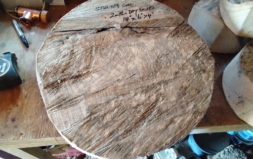 Spalted english oak bowl blank - bowl,
