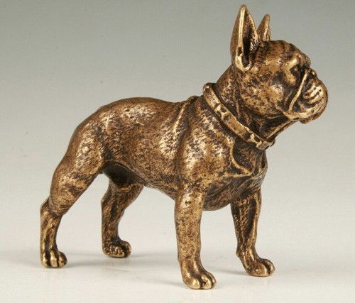 French bull dog - , be