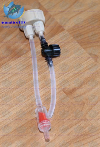 Diy baby brine shrimp hatching - baby,