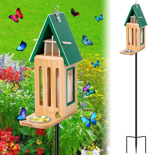 New upgraded butterfly - upgraded,