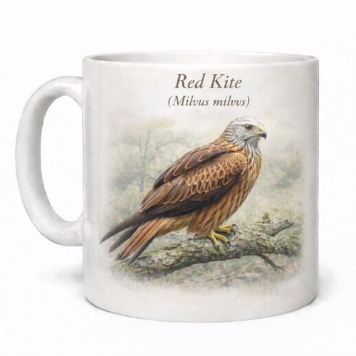 Red kite milvus british - kite,