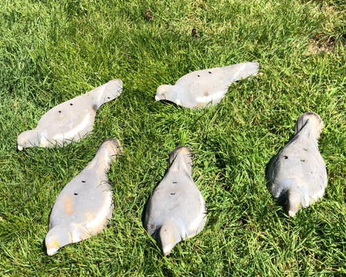 Decoy pigeons decoys half - pigeons,