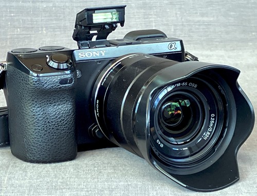 Sony nex full - nex-7,