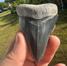 GIANT GLOSSY BLACK MIDNIGHT