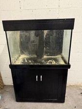 Marine Aquarium 300L Complete