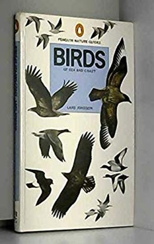 Birds sea and coast - birds,