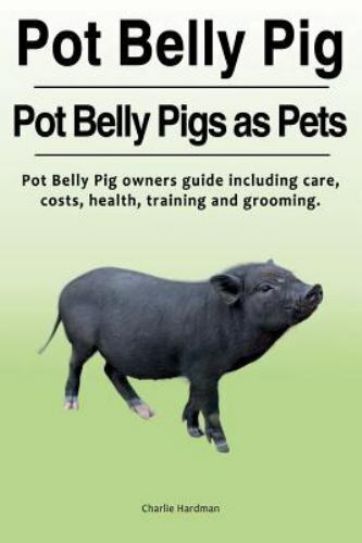 Pot belly pig - belly,