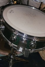DW COLLECTOR SERIES MAPLE