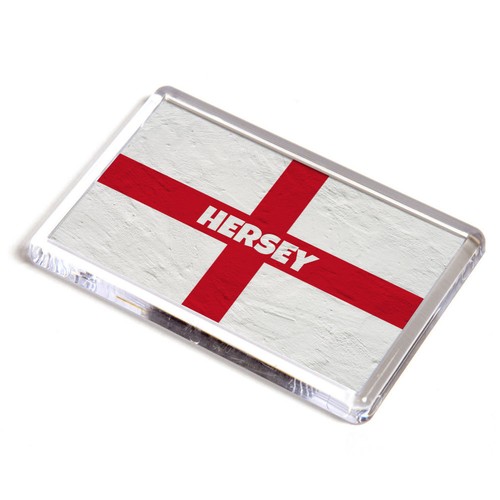 Fridge magnet hersey - fridge, st