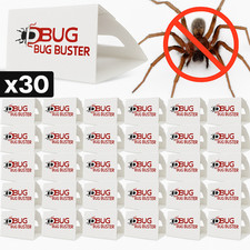 30 x Bug Buster Spider &