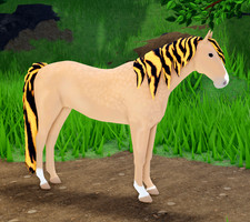 TIGER Dapple Palomino Thoroughbred TB IUH Wild Horse Islands WHI