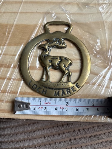 Stag brass over loch - stag,