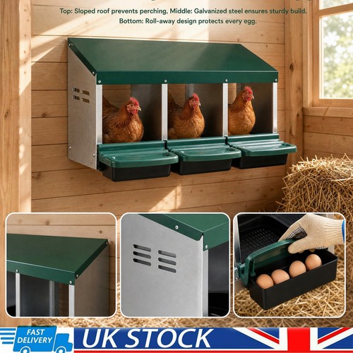Chicken nest boxes - chicken,