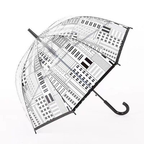 Ladies clear dome umbrella