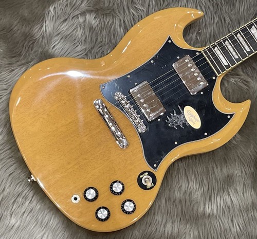 Epiphone std 22f electric - sg,