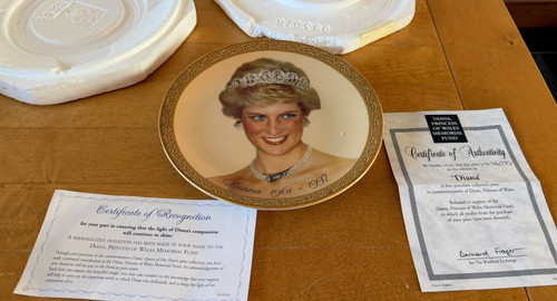 Diana princess wales - diana, 8"