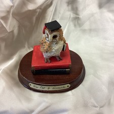 Wise Owl by Leonardo