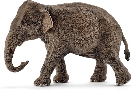 Wild life asian elephant - life,