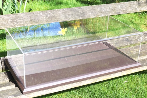 Collectors display cabinet - collectors,