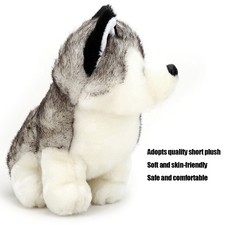 ›Children Kid Cute Huskie