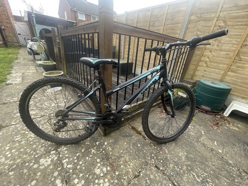 Barracuda draco frame - barracuda,