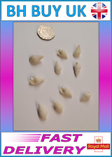10 x WHITE AQUARIUM SNAIL SHELLS DECORATION CRAFTS HERMIT CRAB CERITH (M02)