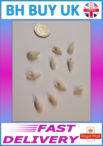 White aquarium snail - 10, x