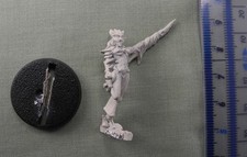 DAEMONETTE OF SLAANESH Metal