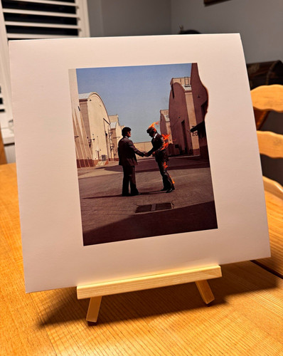 Pink floyd wish - pink,